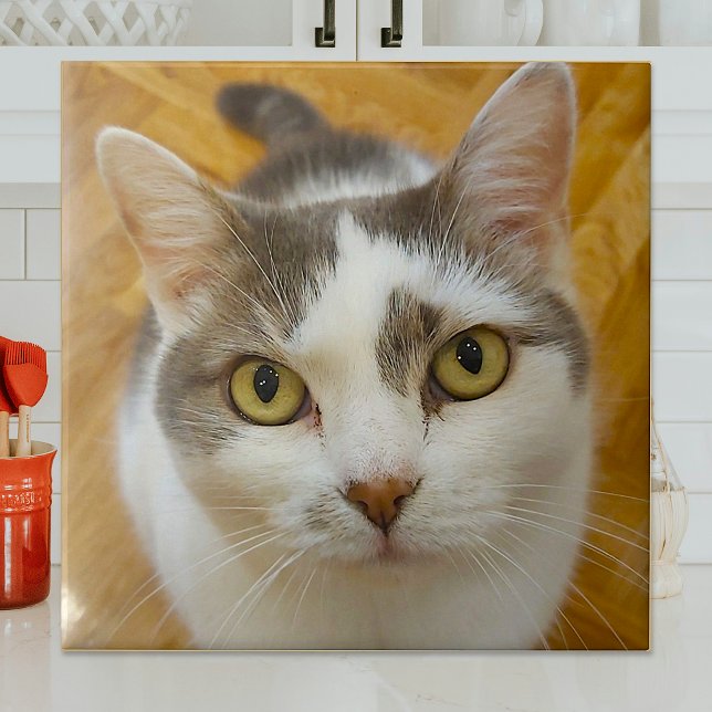 Custom Photo Personalised Ceramic Tile (Creator Uploaded)