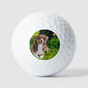 Custom Photo Personalised Pet Golf Balls
