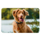 Custom Photo Personalised Picture