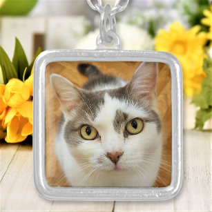 Custom pet clearance necklace australia