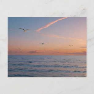 Custom Photo Personalised Sunset Beach Waves Holiday Postcard