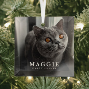 Custom Photo Pet Cat Memorial Tribute Christmas Glass Tree Decoration