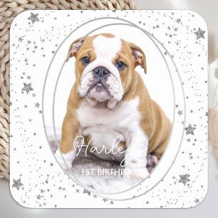 Custom Photo Pet Dog Birthday Silver Glitter Stars Square Sticker