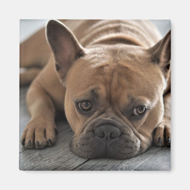 Custom Photo Pet Dog Magnet (Front)