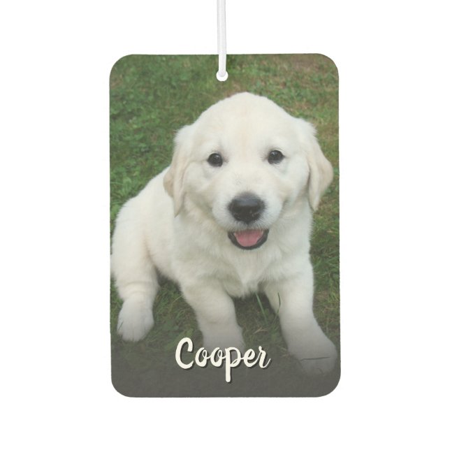 Custom Photo Pet Dog Photo Automobile  Car Air Freshener (Front)