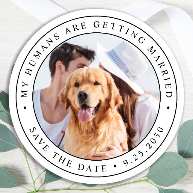 Custom Photo Pet Dog Wedding Save The Date Classic Round Sticker (Creator Uploaded)