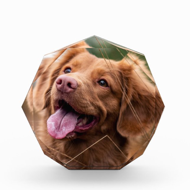 Custom Photo Pet Memorial Dog Photo Block (Front)