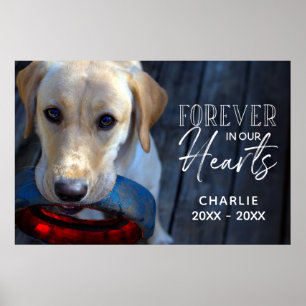 Custom photo pet memorial with typography poster