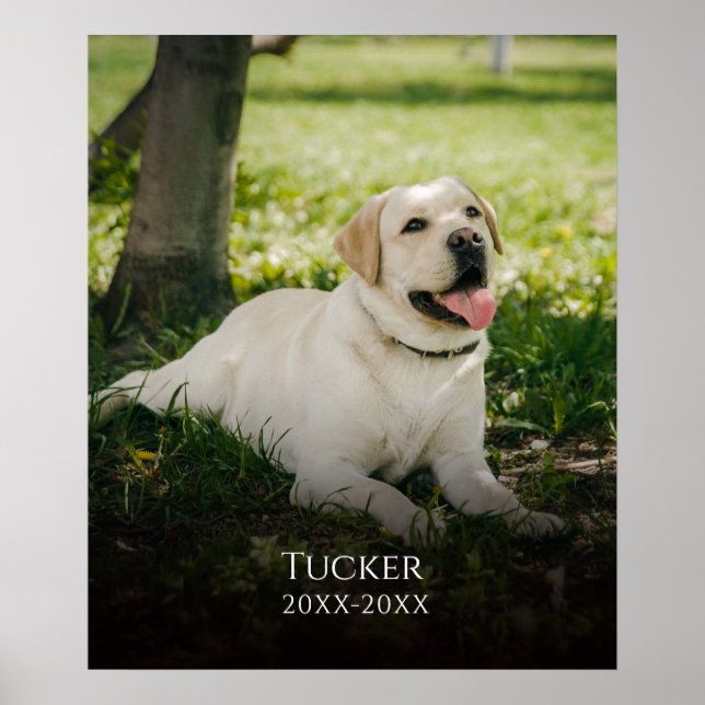 Custom Photo Pet Name Memorial Poster (Front)