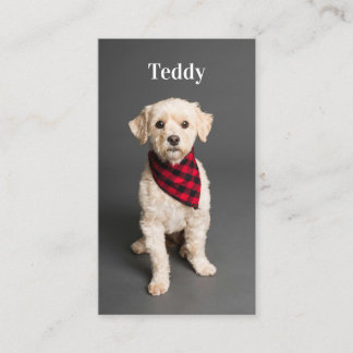 Custom Photo Pet Puppy Dog Social Media QR Code  Business Card