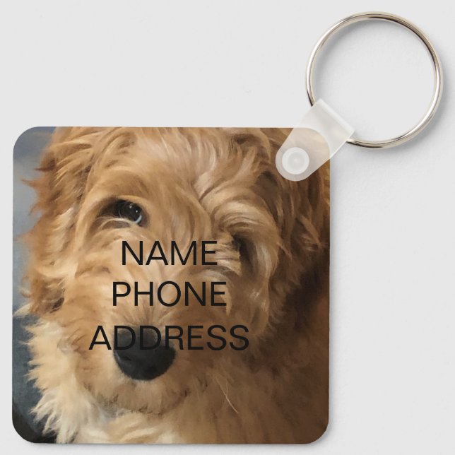 Custom photo picture name contact info monogram key ring (Back)