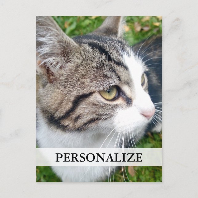 Custom photo postcards | Add your image here (Front)