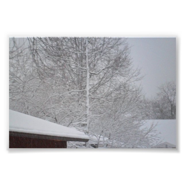 CUSTOM PHOTO PRINTS (Front)