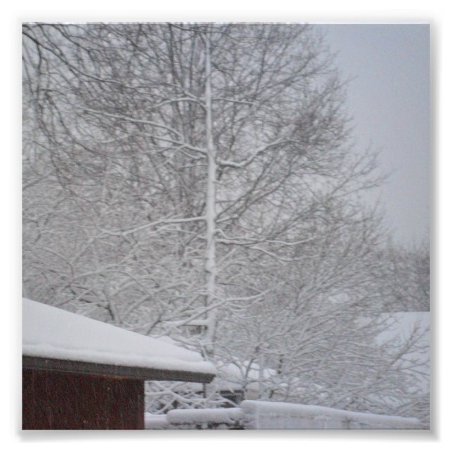 CUSTOM PHOTO PRINTS  6 X6 (Front)