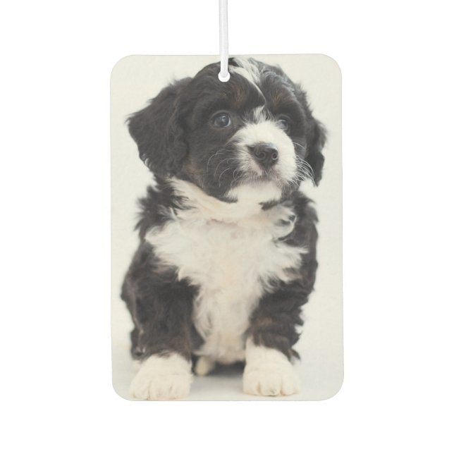 Custom Photo Puppy Dog Pet Personalised Car Air Freshener (Front)