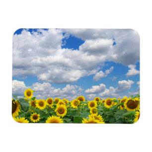 Custom Photo Refrigerator Magnet