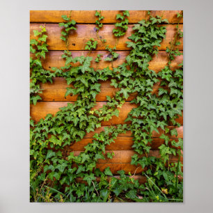 Custom Photo Rustic Ivy on Log Cabin Wall Portrait Poster