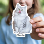 Custom Photo Stickers | Personalised Vinyl Decals<br><div class="desc">Design custom photo stickers featuring your dog,  cat,  pet,  or even your face. Personalised vinyl decals are perfect for gifts,  scrapbooks,  and everyday fun.</div>