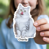 Custom Photo Stickers | Personalised Vinyl Decals