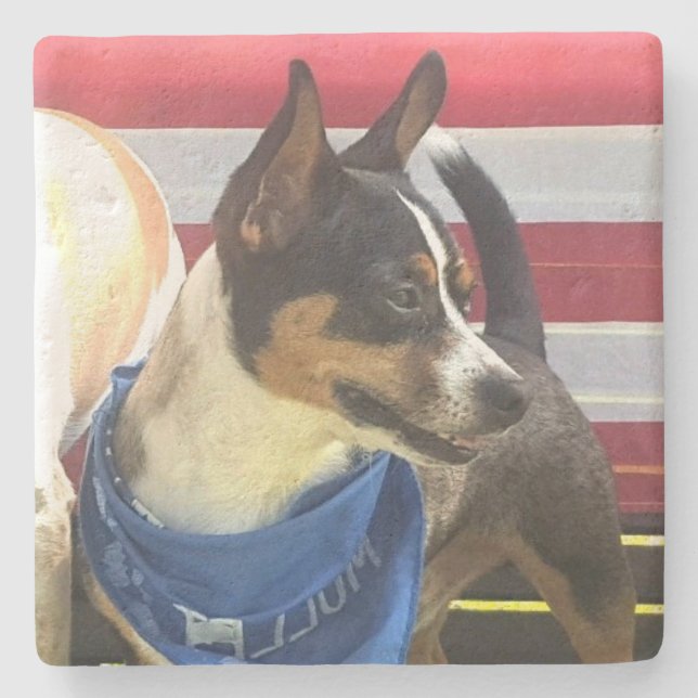 custom photo stone coaster (Front)