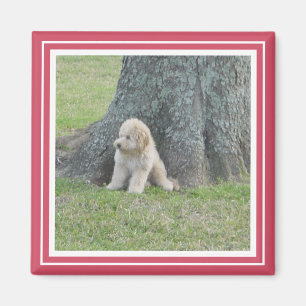 Custom Photo Template Bright Hot Pink & White Magnet