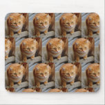 Custom Photo Template Collage Pet Family Mouse Pad<br><div class="desc">This design was created though digital art. It may be personalised in the area provide or customising by choosing the click to customise further option and a name, initials or words. You may also delete the text for an image only design. Contact me at colorflowcreations@gmail.com if you with to have...</div>