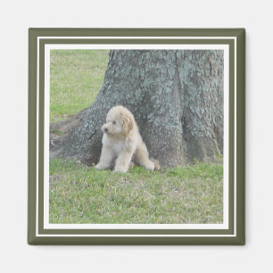 Custom Photo Template Moss Green & White Magnet