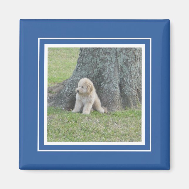 Custom Photo Template Stylish Royal Blue & White Magnet (Front)