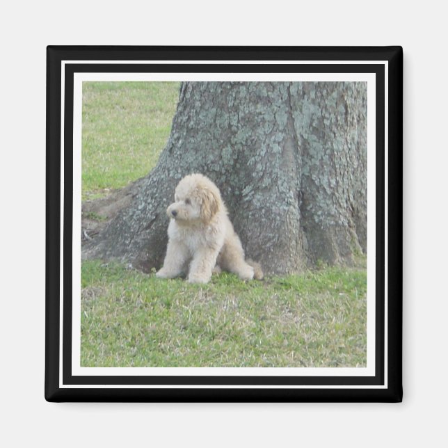 Custom Photo Template True Black & White Magnet (Front)