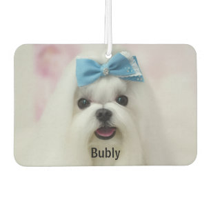 Custom Photo Text Logo Personalised Branding Car Air Freshener