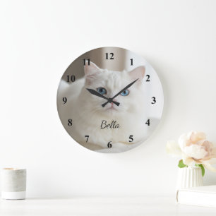 Custom photo wall clock with beautiful white cat