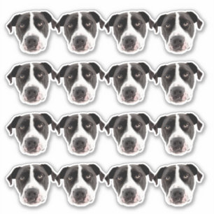 Custom Photo Waterproof Vinyl Stickers