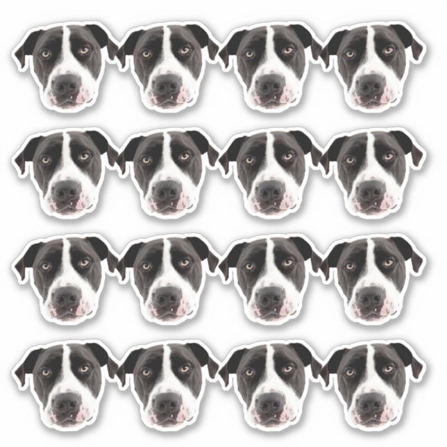 Custom Photo Waterproof Vinyl Stickers (Front)