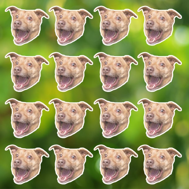 Custom Photo Waterproof Vinyl Stickers (Creator Uploaded)