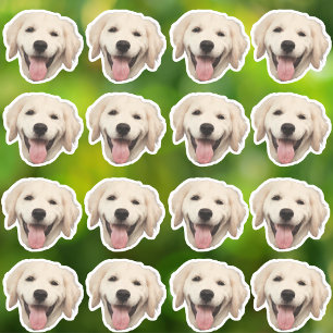 Custom Photo Waterproof Vinyl Stickers