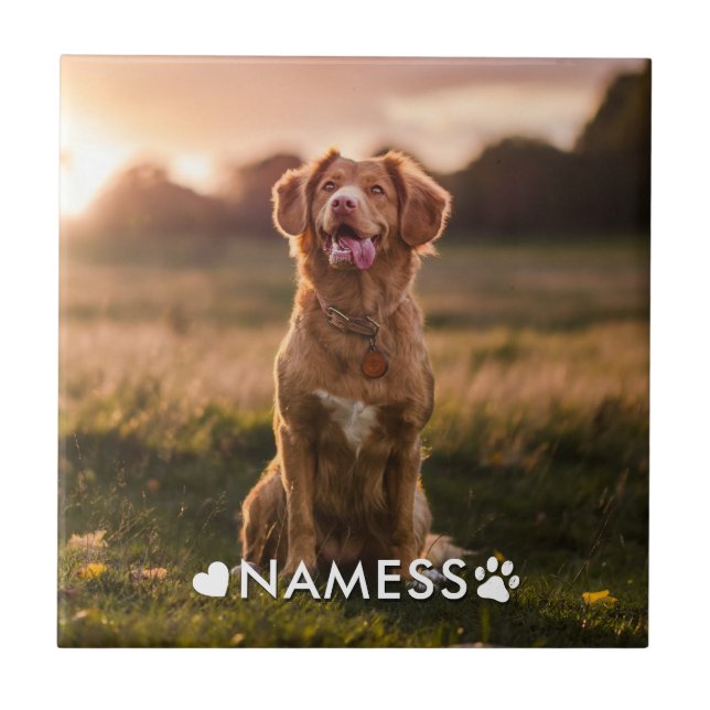 Custom Photo With Your Pet Dog Name Picture On Ceramic Tile (Front)