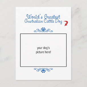 Custom Photo Worlds Greatest Australian Cattle Dog Postcard
