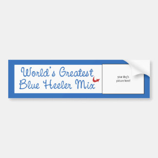 Custom Photo! Worlds Greatest Blue Heeler Mix Bumper Sticker
