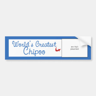 Custom Photo! Worlds Greatest Chipoo Bumper Sticker