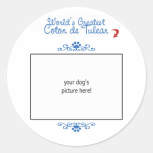 Custom Photo! Worlds Greatest Coton de Tulear Classic Round Sticker