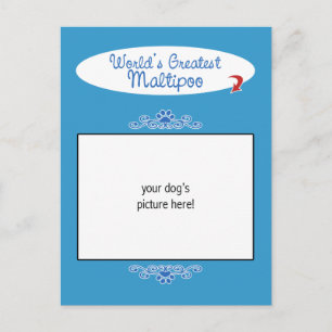 Custom Photo! Worlds Greatest Maltipoo Postcard
