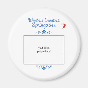 Custom Photo! Worlds Greatest Springador Magnet