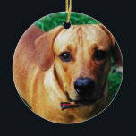 Custom Picture Personalized 2 Sided Photo Ceramic Ornament<br><div class="desc">Customized Photo cards,  novelty gifts and clothing. Create a personalized gift for birthdays and special occasions.</div>