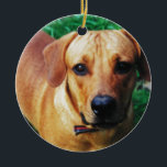Custom Picture Personalized 2 Sided Photo Ceramic Ornament<br><div class="desc">Customized Photo cards,  novelty gifts and clothing. Create a personalized gift for birthdays and special occasions.</div>