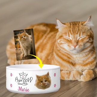 Custom Pink Princess Cat