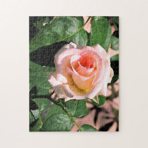 CUSTOM PINK ROSE ON VINE PUZZLE