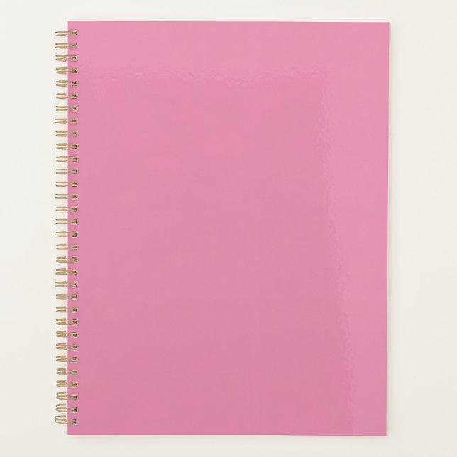 Custom Planners 2025 · Bullet Journals & More (Front)