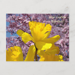 Custom Post Cards Daffodil Flowers Blossoms