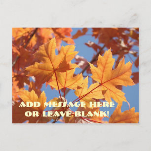 Custom Postcards Autumn Leaves Nature Seasonal