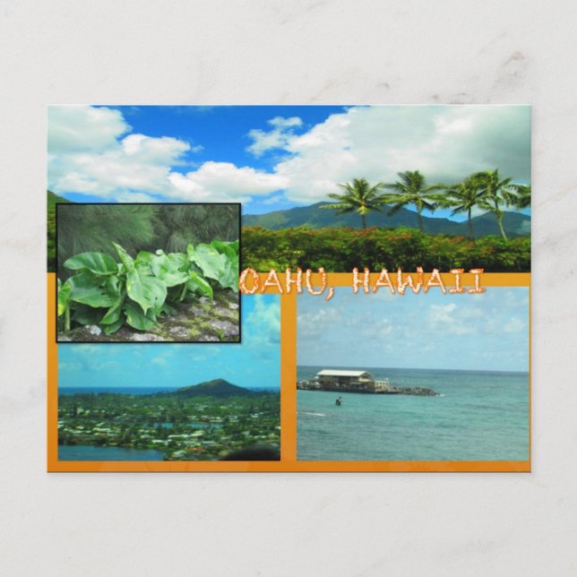 CUSTOM POSTCARDS- HAWAII COLLAGE# 20 POSTCARD (Front)